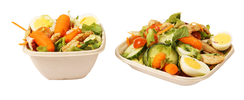 bagasse eckig